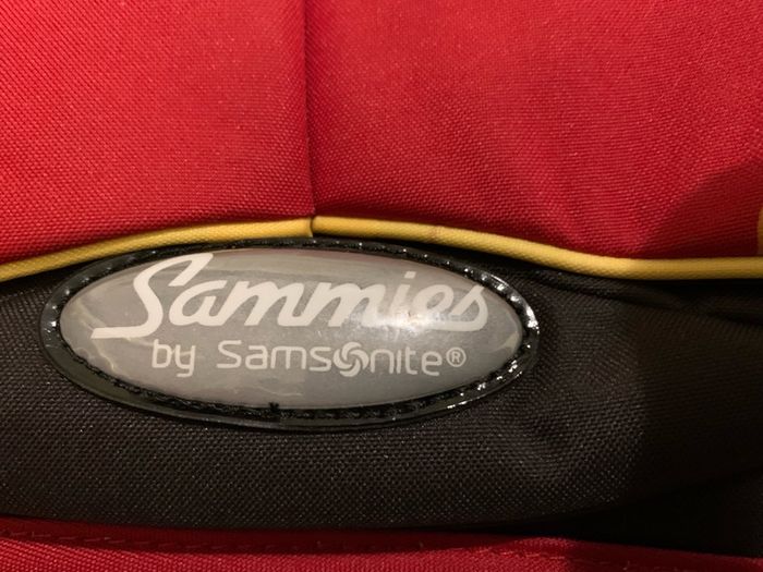 Kids Samsonite Ladybird Schoolbag Purse Set