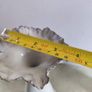 Fenton light  gray glazed pottery  Vase with Ruffled silver Crest signed and in very good condition. Image 8