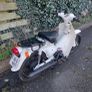 Honda 50 cub , 100 cc Image 2