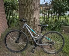 Hybrid Bike - GT Women's Transeo