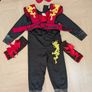 Halloween fancy dress Image 5