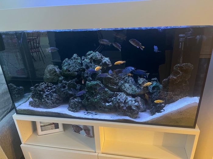 Aquarium