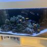 Aquarium Image 5