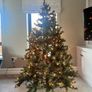 Christmas tree Image 2