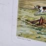 Set 4 19thC Hunting Prints Image 6