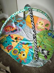 V-tech baby jungle gym