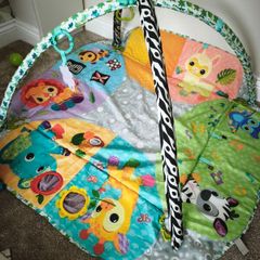V-tech baby jungle gym