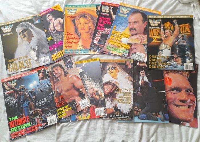 Wwf Magazines 1996