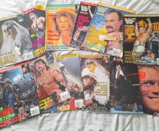 Wwf Magazines 1996