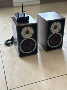 Dali Spektor 2 + Elegiant BTZ 001