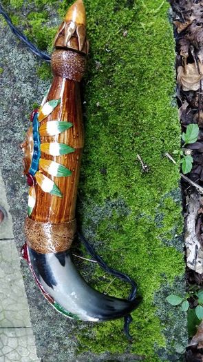 Cows  Bull's Horn