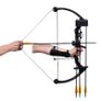 Youth Compound Bow with Accessories and Aluminium Arrows Image 4