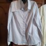 Show Shirts,Jodphurs,Breeches.NEW Image 8