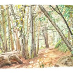 St. Anne's Park Art Prints A4 Photo-Illustrated Collection