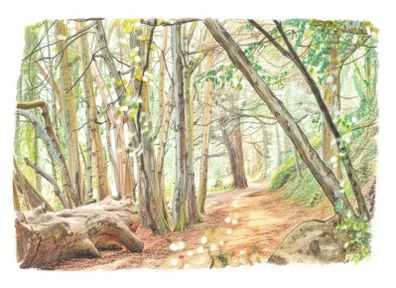 St. Anne's Park Art Prints A4 Photo-Illustrated Collection
