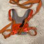 LittleLife Child & Toddler Safety Walking Harness & Reins Image 4