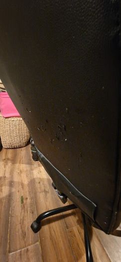 desk chair