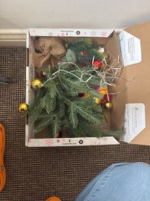 Small christmas tree