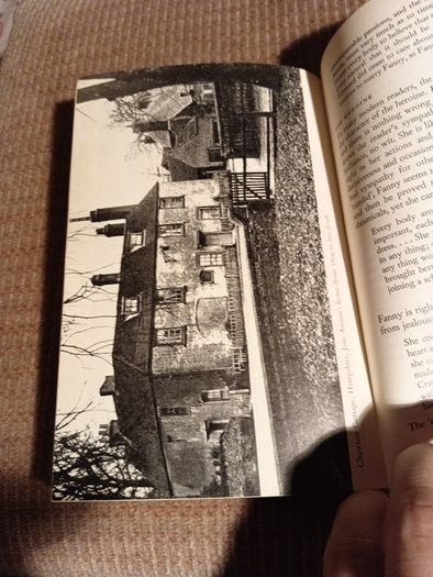 1971 Jane Austen. Literature in Perspective. Norman Sherry. Vintage.