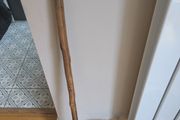 Walking stick