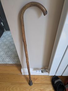 Walking stick