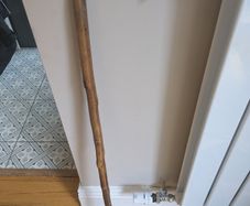 Walking stick