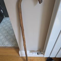 Walking stick