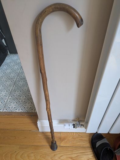 Walking stick