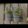 Plant Wall hanger 6 for 15 euro Image 5