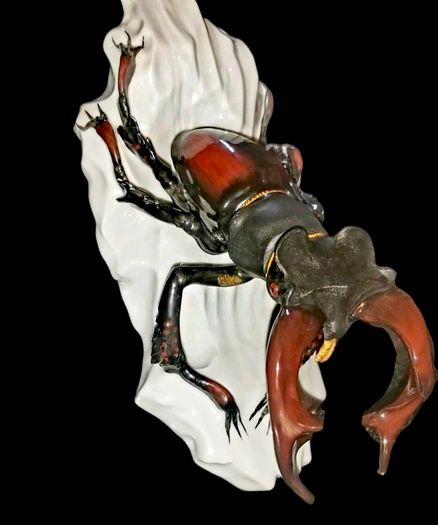 Spectacular rare porcelain large Angler bug