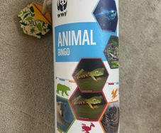 Animal bingo