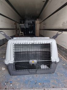 Dog / large pet cage