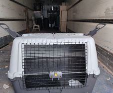 large pet crate