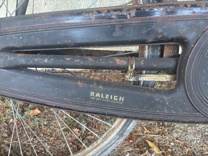 high nelly bike
