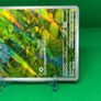 Bulbasaur 166/165 Image 3