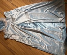 Disneyland Paris Cinderella Cape