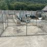 Dog run Image 2