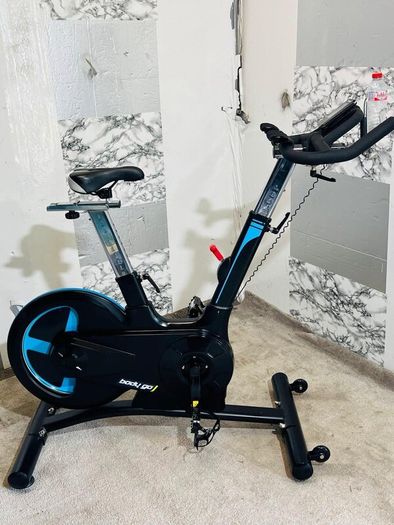 Large 20kg Wheel Bodymax Exercise Bike Life Time