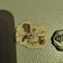 Set of 5 resin fossils Image 5