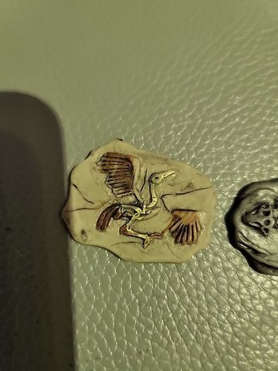Set of 5 resin fossils