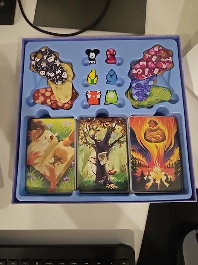 Dixit Disney