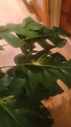 Artificial Monstera Plant in Strong Ceramic Plant Pot with Decorative Stones