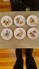 Altwasser Of Germany Ceramic Hand Painted Plates. Plus I X  Hammersley Fine Boney China. Spode.