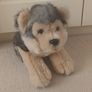 Adorable Husky Puppy Toy. Image 9
