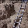 Hay Image 3