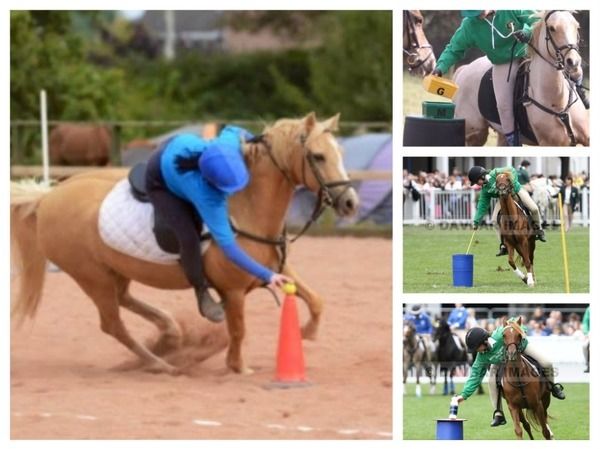 Mounted (pony) Games Equipment