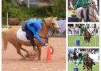 Mounted (pony) Games Equipment