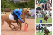Mounted (pony) Games Equipment