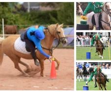 Mounted (pony) Games Equipment