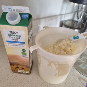 30 grams Active and Ready Milk Kefir Grains